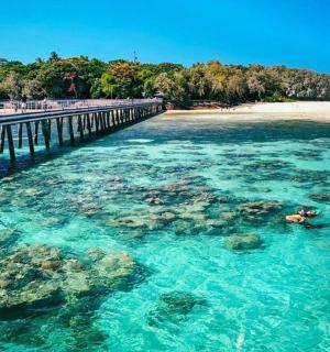 a person swimming in the water next to a pier