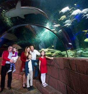eine Familie posiert vor einem Aquarium