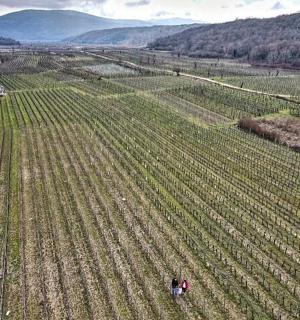 two people standing in a field with a road