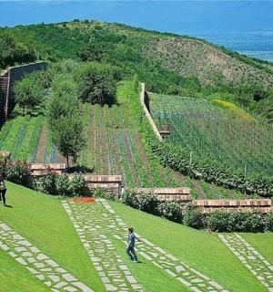 a group of people standing in a grass field
