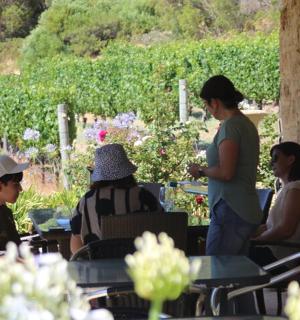 一群人坐在花园里的桌子旁