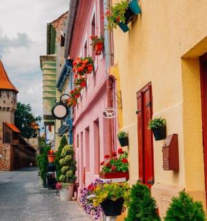 a street with flowers and a castle in the background