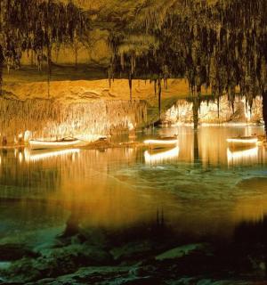 a group of boats in a body of water