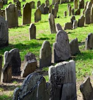 墓地里的一组墓碑