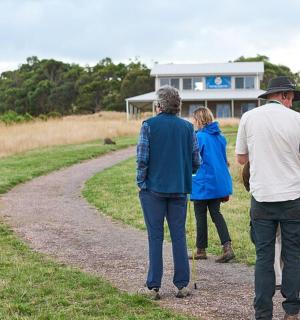 a group of people looking at a bird on a road