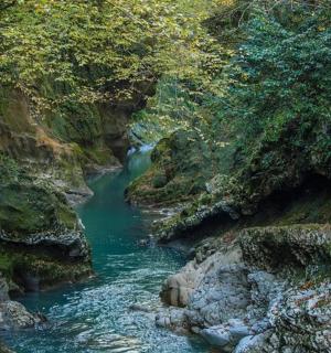 峡谷中的一条河流,有岩石和树木