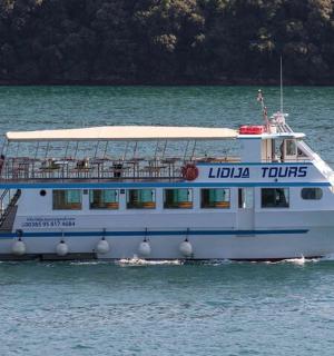 a cruise boat in the water on a lake