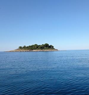 eine Insel inmitten eines großen Gewässers