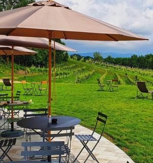 a group of tables and chairs under an umbrella