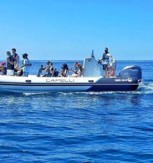a group of people on a boat in the water with a dolphin