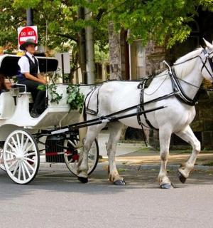 a man driving a horse drawn carriage down a street