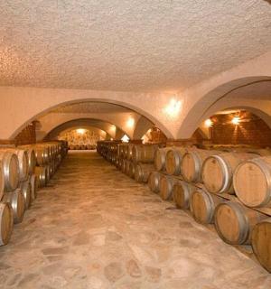 酒窖里的一排酒桶