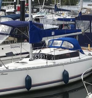 a group of boats docked in a harbor