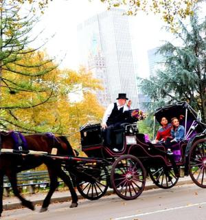 a man riding a horse drawn carriage with people