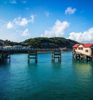 房子旁边的码头,水里摆放着椅子