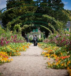 a person walking down a path through a garden with flowers