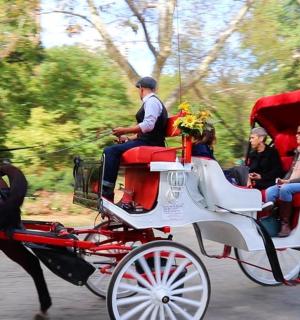 a horse drawn carriage with people riding on it