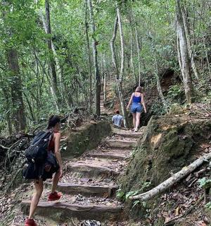 a group of people walking down a trail in the woods