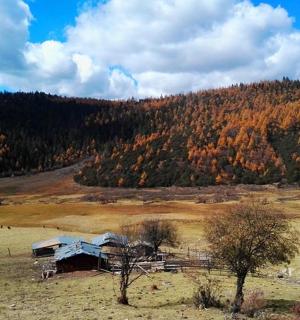 位于山间田野中央的谷仓
