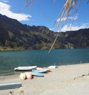 a group of surfboards on a beach near a body of water