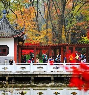 一群人站在池塘上的一座桥上