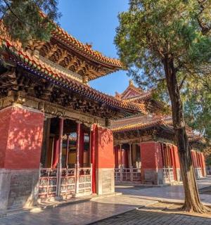 前面有一棵树的建筑物