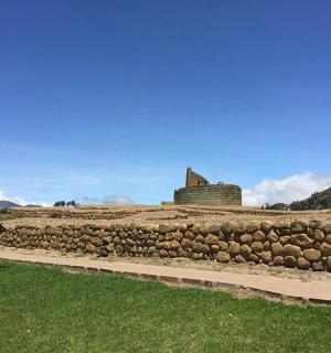 uma cabra parada em frente a um muro de pedra