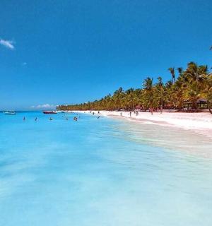 有棕榈树和水中人的海滩