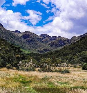 一片草地，背景是群山