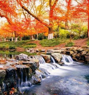 一幅描绘树木繁茂的公园中瀑布的画