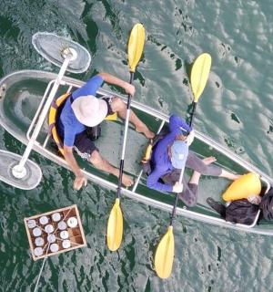 two people in a paddle boat in the water