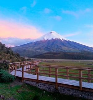 远处有一座山，山前有一座桥