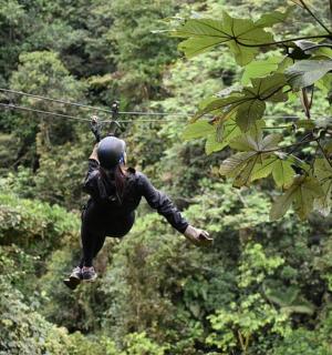 丛林中滑索上的一个人