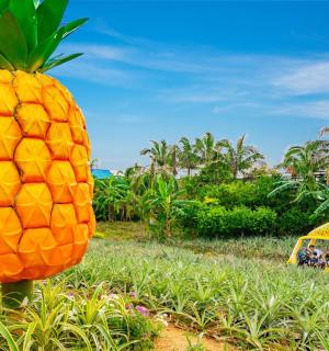 a large pineapple statue in a field with a gazebo
