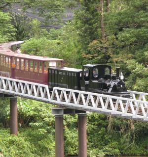 河桥上的小火车