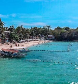 有船在水中和棕榈树的海滩