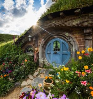 dům s modrými dveřmi a několika květinami