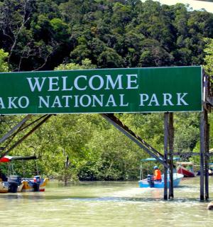 a street sign in the middle of a river