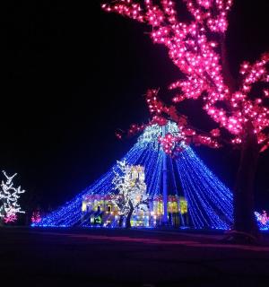 一棵点亮了红蓝灯光的圣诞树