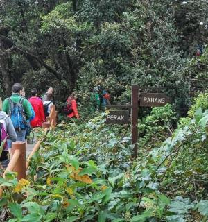 一群人在森林小路上行走