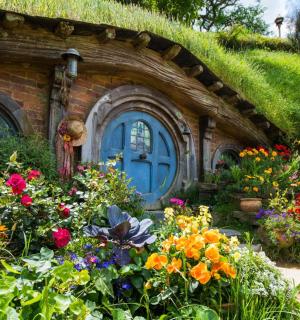 zahrada s květinami před domem