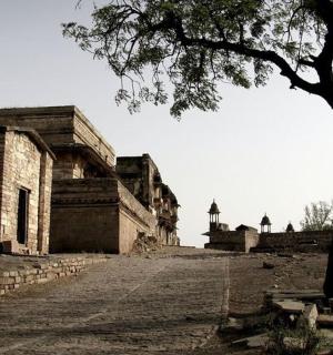 strom před budovou se stromem