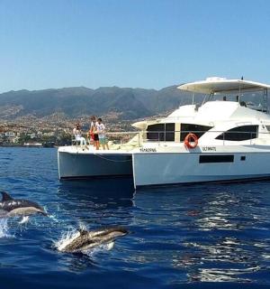 two dolphins in the water next to a boat