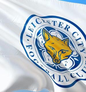 a flag of the new western conference of wolf organizations