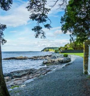 一条有篱笆和树木的水边小路