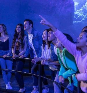 一群人坐在水族馆前