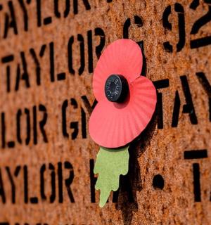 墙上钉着一朵红色罂粟花，上面写着