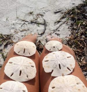 a person standing on the beach with their feet in the sand