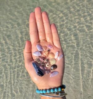a hand with a bunch of shells on it