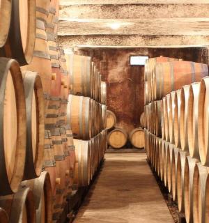 řada vinných sudů ve vinném sklepě